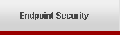 Endpoint Security